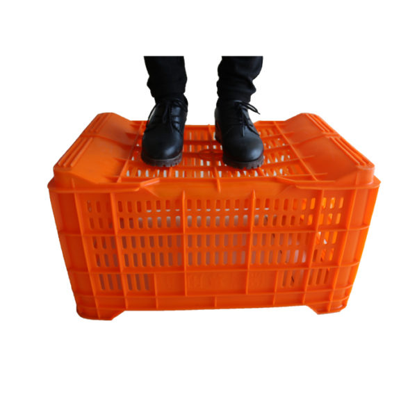 apple crates wholesale