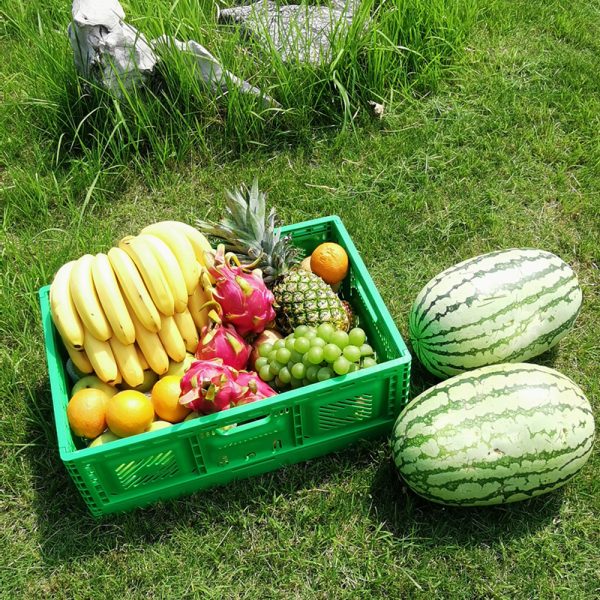 folding vegetable crates